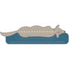 Picture of Hunter Ορθοπεδικό κρεββάτι Hundesofa Livingston (80x60cm)