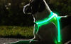 Εικόνα της Noxgear Σαμαράκι Σκύλου Light Hound Large ( Στήθος 60-101cm)