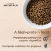 Picture of Diamond Naturals Puppy Small & Medium Breed Κοτόπουλο & Ρύζι 2kg