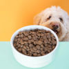 Picture of Pooch & Mutt Adult Superfood 7,5kg