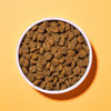 Picture of Pooch & Mutt Adult Superfood 7,5kg