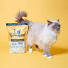 Picture of Purr & Miaow Salmon & Herring 1,5kg