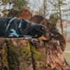 Picture of Max & Molly Περιλαίμιο Σκύλου Retro Blue