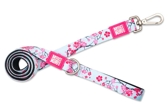 Picture of Max & Molly Οδηγός Cherry Bloom