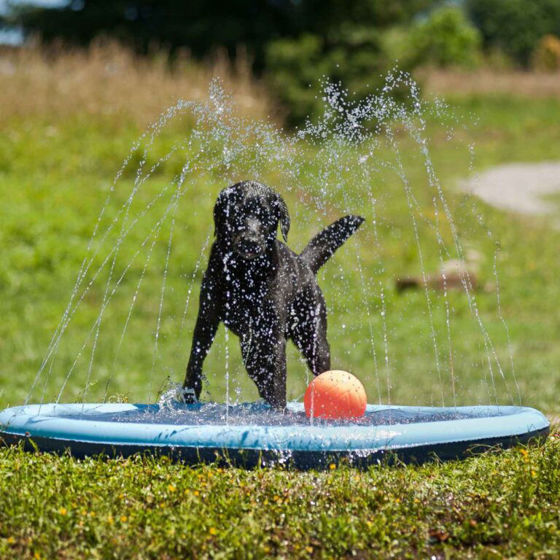 Picture of Ferribiella Πισίνα Σκύλου Splash (Διάμετρος 150cm)