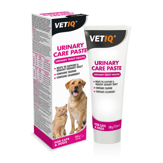 Picture of VetIQ Urinary Care Paste 100gr