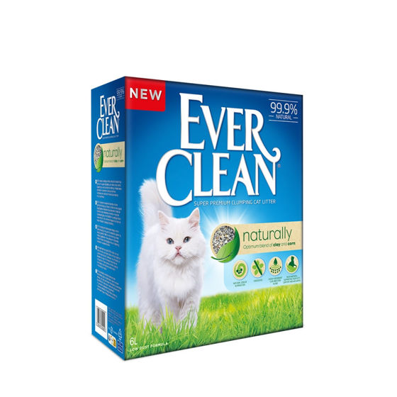 Picture of Everclean Naturally 6L