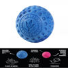 Εικόνα της Kiwi Walker Παιχνίδι Σκύλου Μπάλα Let`s Play Ball Μπλε 9cm