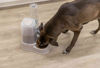 Εικόνα της Trixie Αυτόματη Ποτίστρα & Ταίστρα Για Σκύλο & Γάτα 3,5L