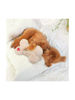Εικόνα της All For Paws Παιχνίδι Σκύλου Little Buddy Heart Beat Pillow 27cm