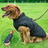 Εικόνα της Denik Αδιάβροχο Μπουφάν Σκύλου με Fleece Επένδυση & Ιμάντες Στήριξης Μαύρο