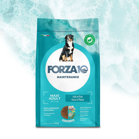 Εικόνα της Forza10 Maintenance Maxi Adult Ψάρι 12kg