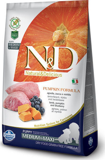 Εικόνα της N&D Pumpkin Grain Free Lamb Puppy Medium/Maxi 12kg