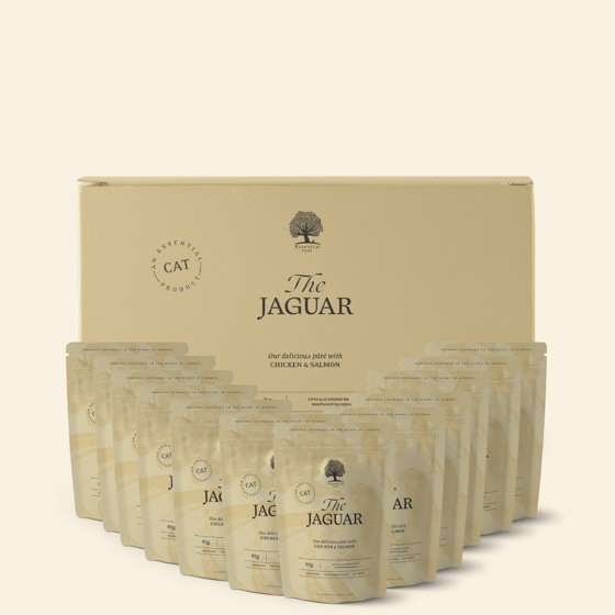 Εικόνα της Essential Jaguar Pate 85gr (12τμχ)