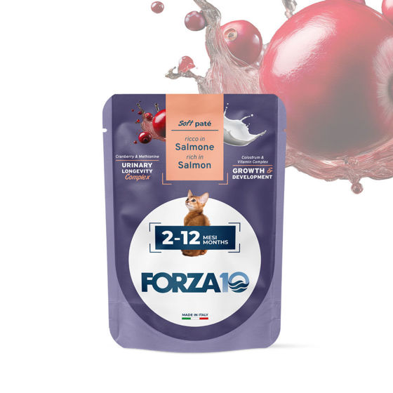 Εικόνα της Forza10 Υγρή Τροφή Soft Pate Kitten Σολωμός 80gr
