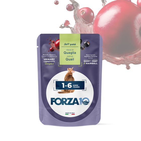 Εικόνα της Forza10 Υγρή Τροφή Soft Pate Adult Ορτύκι 80gr