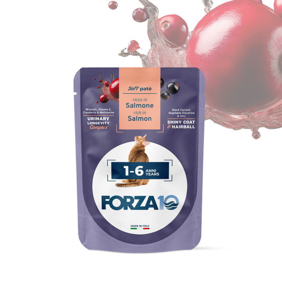 Εικόνα της Forza10 Υγρή Τροφή Soft Pate Adult Σολωμός 80gr