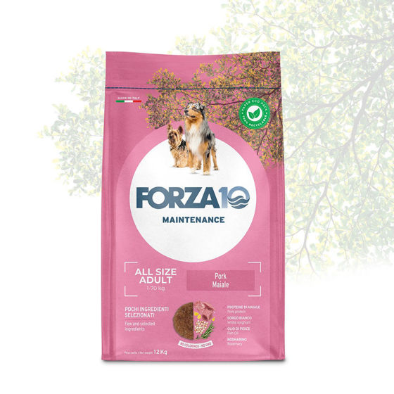 Εικόνα της Forza10 Maintenance Adult All Breeds Χοιρινό 12kg