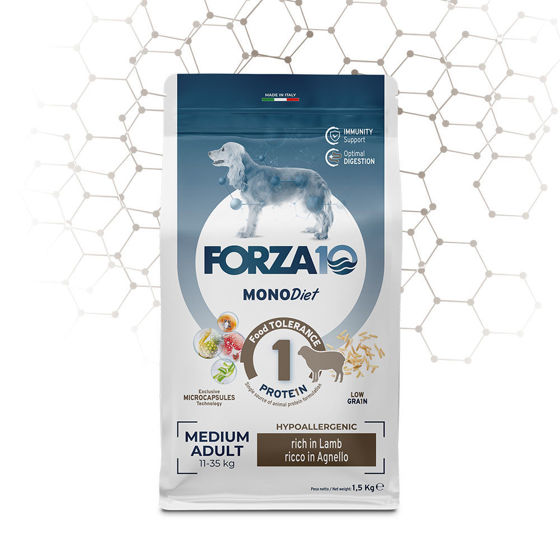 Εικόνα της Forza10 Mono Diet Medium Αρνί 12kg