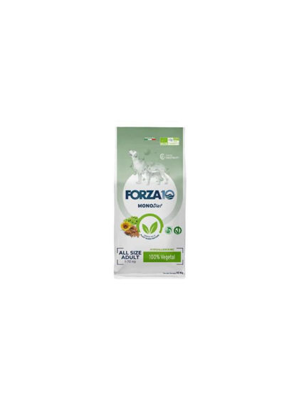Εικόνα της Forza10 Hypoallergenic 100% Vegetal με Άλγη για Σκύλους 10kg