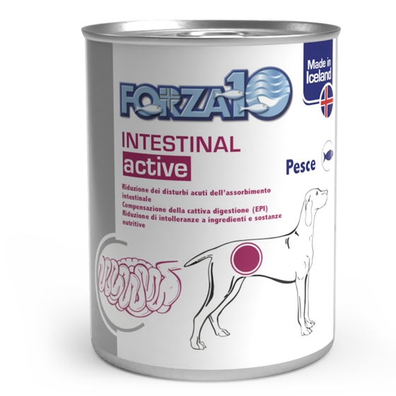 Εικόνα της Forza10 Κονσέρβα Σκύλου Intestinal Active με Ψάρι 390gr