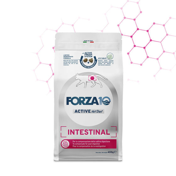 Εικόνα της Forza10 Active Line Intestinal Active για Γάτες  1.5kg