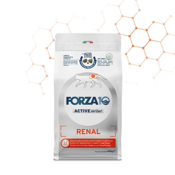 Εικόνα της Forza10 Active Line Renal Active για Γάτες 400gr