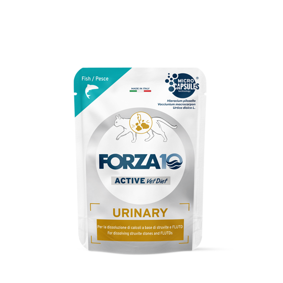 Εικόνα της Forza10 Κονσέρβα Γάτας Actiwet Urinary Ψάρι 80gr