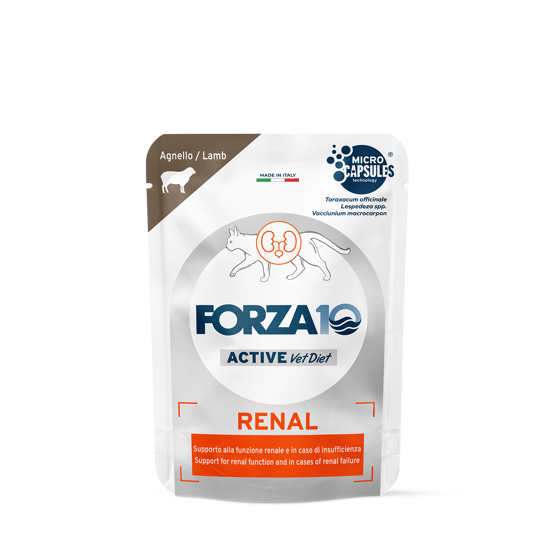 Εικόνα της Forza10 Κονσέρβα Γάτας Actiwet Renal Αρνι 80gr