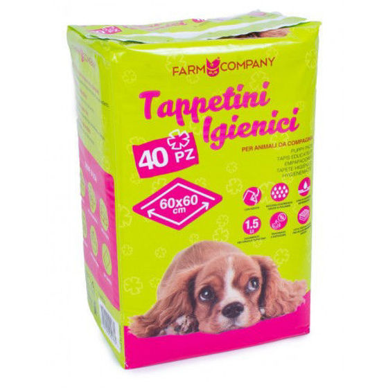 Εικόνα της Farm Company Εκπαιδευτικές Πάνες Με Αυτοκόλλητο 60x60cm (40τμχ)