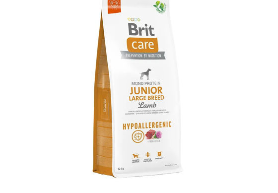 Εικόνα της Brit Care Dog Hypoallergenic Junior Large lamb 12kg