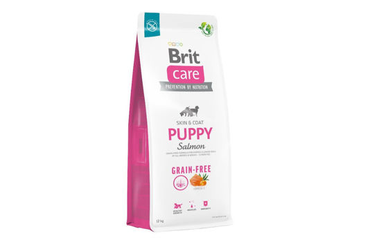 Εικόνα της Brit Care Dog Grain Free Puppy Salmon 12kg