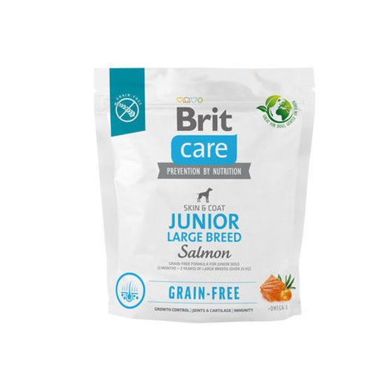 Εικόνα της Brit Care Dog Grain Free Junior Large Salmon 1kg