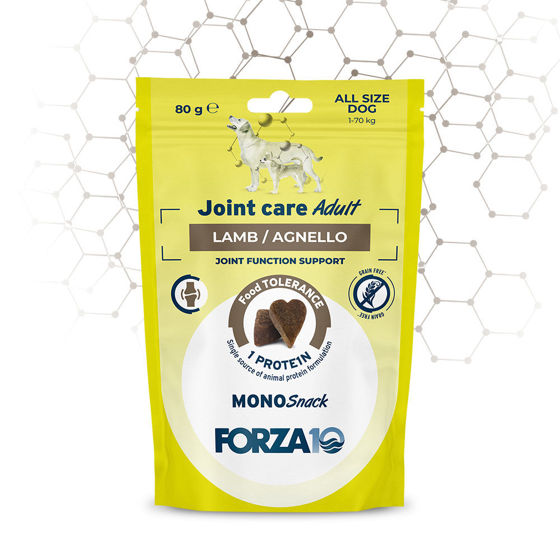 Εικόνα της Forza10 Λιχουδιά Σκύλου Joint care Αρνί 80gr