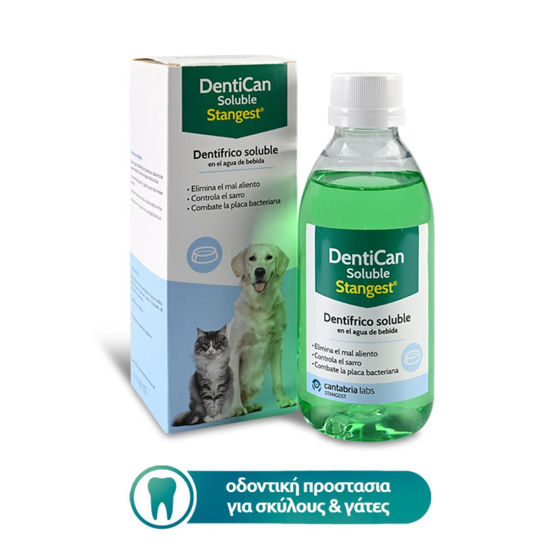 Εικόνα της Stangest Dentican Soluble 250ml