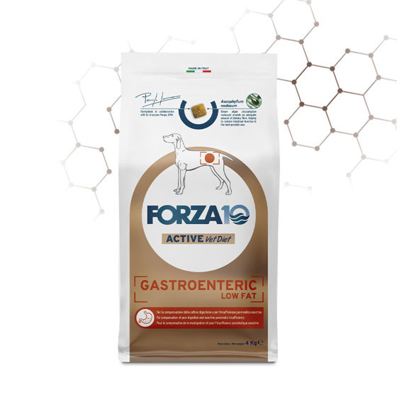 Εικόνα της Forza 10 Active Line - Gastroenteric Low Fat 4kg