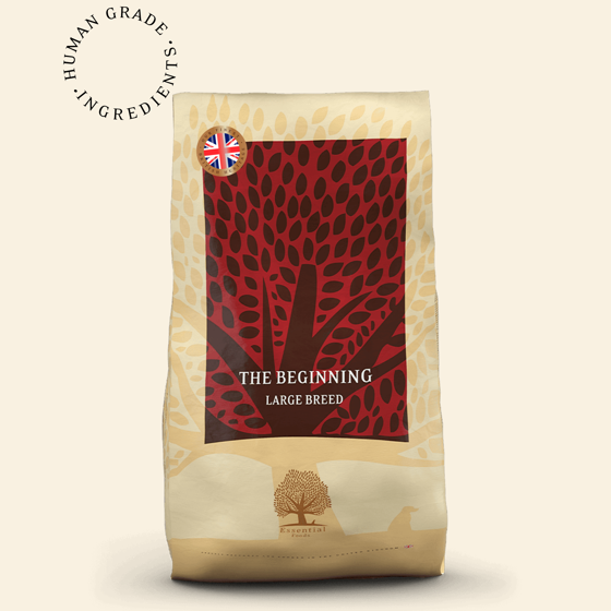 Εικόνα της Essential The Beginning Large Breed 10kg (Heritage Kitchens)