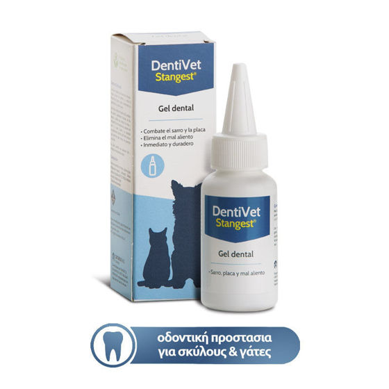 Εικόνα της Dentivet Gel Dental 50ml