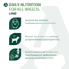 Εικόνα της Arden Grange Adult Lamb 6kg