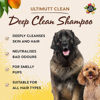 Εικόνα της Petheads Σαμπουάν Ultimate Clean 3 In 1 Για Βαθύ Καθαρισμό 300ml